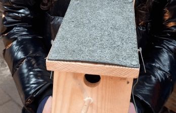 child holding bird box they just finished building
